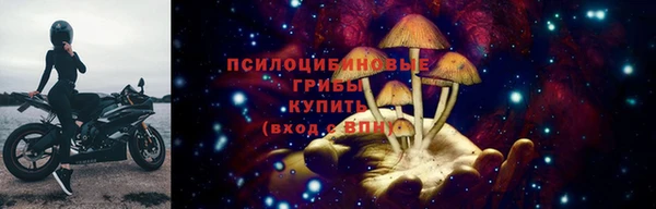 PSILOCYBIN Балабаново