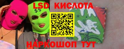 прущие грибы Кандалакша