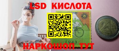 прущие грибы Кандалакша