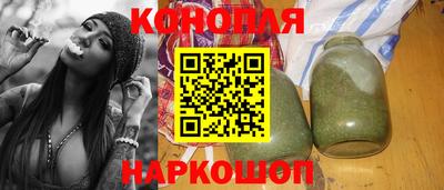 прущие грибы Кандалакша