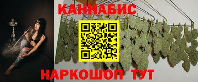 прущие грибы Кандалакша