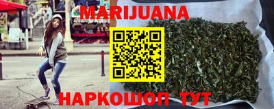прущие грибы Кандалакша