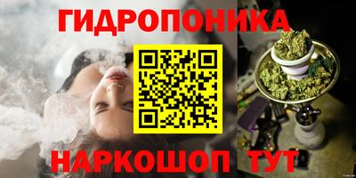 прущие грибы Кандалакша