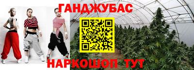 прущие грибы Кандалакша