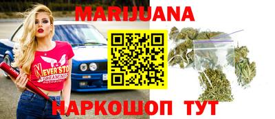 прущие грибы Кандалакша