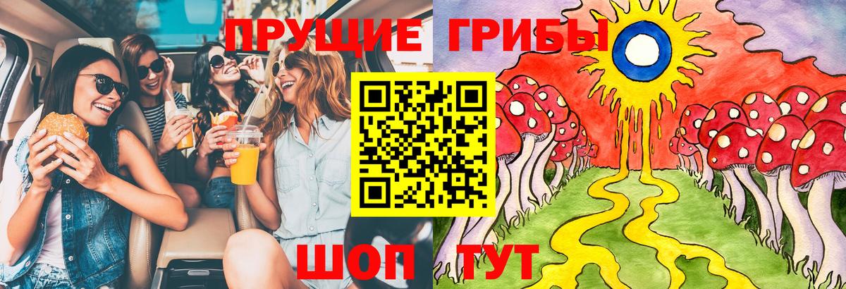 Галлюциногенные грибы MAGIC MUSHROOMS  Вход с VPN  Коммунар  Псилоцибиновые грибы мицелий 