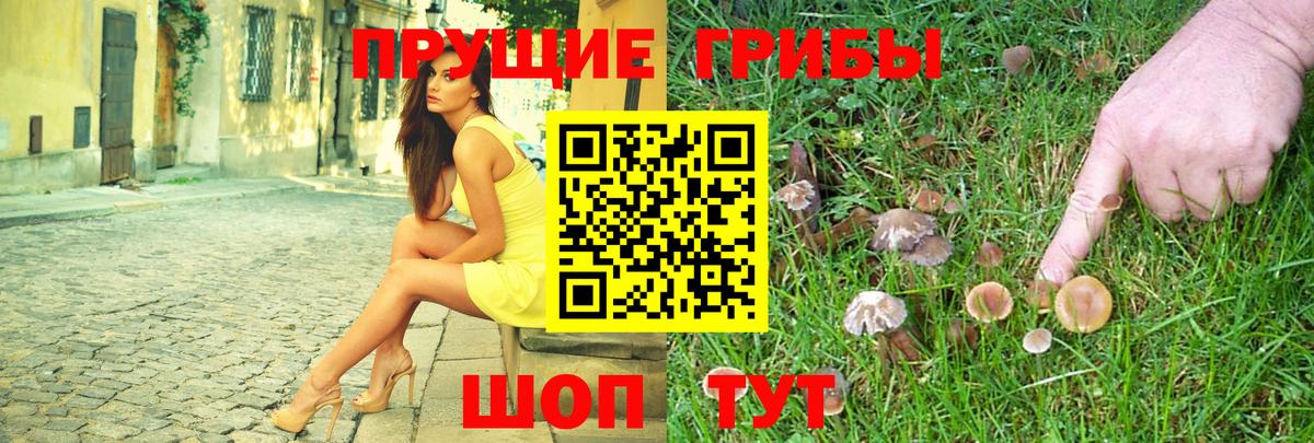 Псилоцибиновые грибы мицелий Коммунар